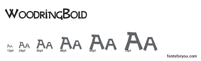 Размеры шрифта WoodringBold