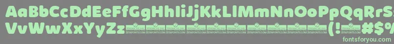 フォントKabrioSoftHeavyTrial – 灰色の背景に緑のフォント