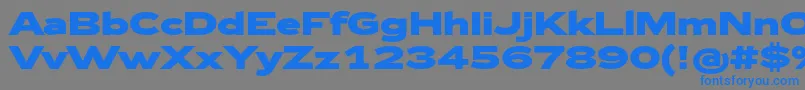 Zeppelin43Bold-Schriftart – Blaue Schriften auf grauem Hintergrund