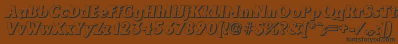 AdelonshadowHeavyItalic Font – Black Fonts on Brown Background