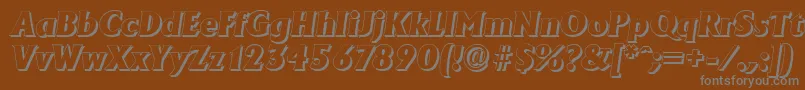 AdelonshadowHeavyItalic Font – Gray Fonts on Brown Background