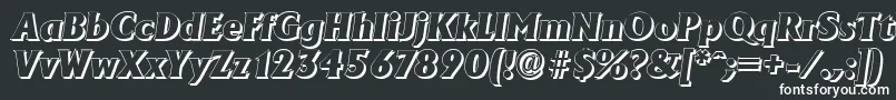 フォントAdelonshadowHeavyItalic – 白い文字