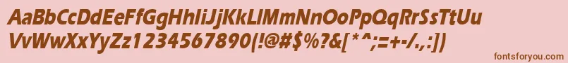 ErgoeextraboldcondItalic Font – Brown Fonts on Pink Background
