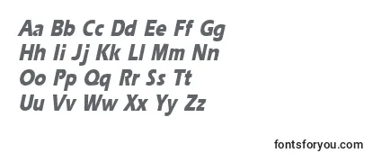 ErgoeextraboldcondItalic-fontti