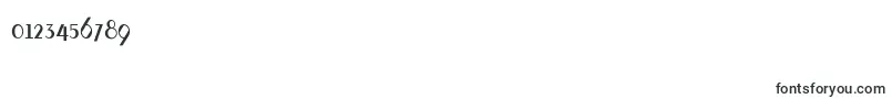 Fontleroy Font – Fonts for Numbers and Digits