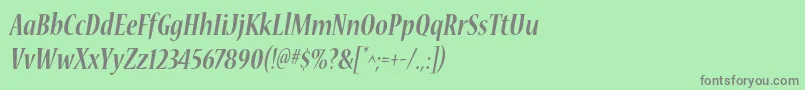 フォントNuevastdBoldconditalic – 緑の背景に灰色の文字