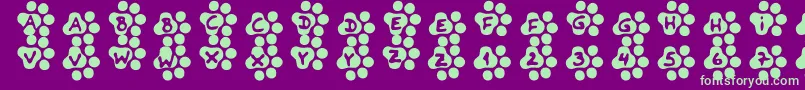 Catwalk-fontti – vihreät fontit violetilla taustalla