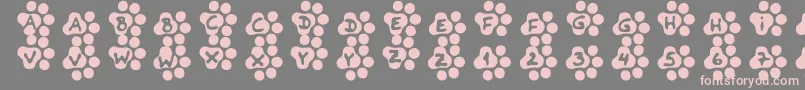 Catwalk Font – Pink Fonts on Gray Background