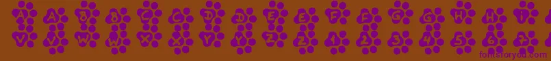 Catwalk-fontti – violetit fontit ruskealla taustalla
