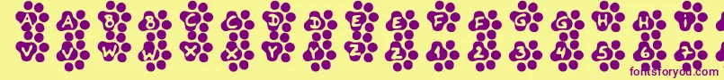Catwalk-fontti – violetit fontit keltaisella taustalla