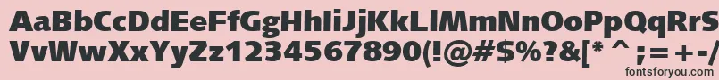 Humanist531UltraBlackBt Font – Black Fonts on Pink Background