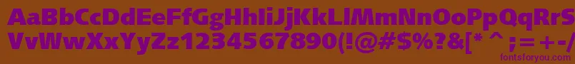 Humanist531UltraBlackBt Font – Purple Fonts on Brown Background