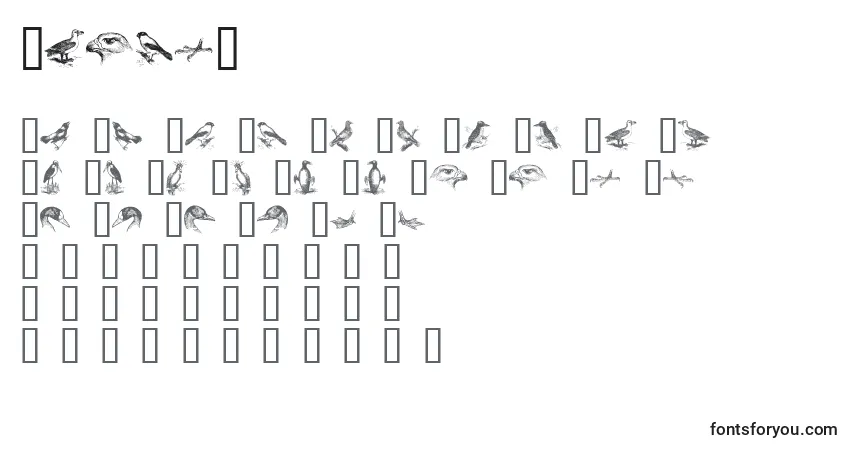 Schriftart BirdsA – Alphabet, Zahlen, spezielle Symbole