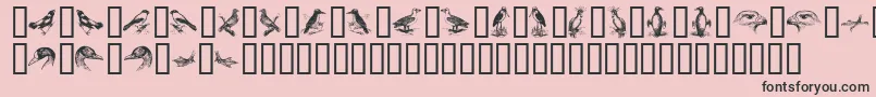 BirdsA Font – Black Fonts on Pink Background