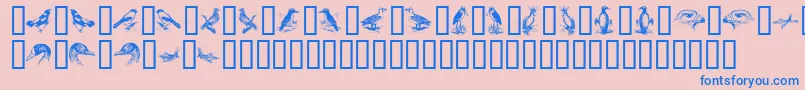 BirdsA Font – Blue Fonts on Pink Background