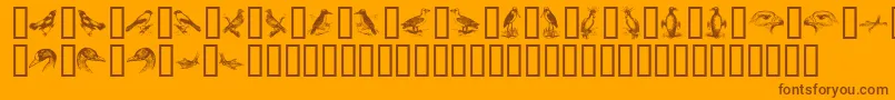 BirdsA-Schriftart – Braune Schriften auf orangefarbenem Hintergrund