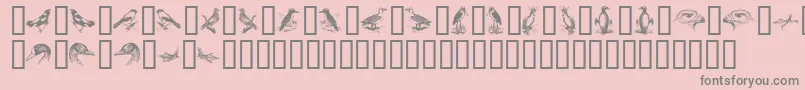 BirdsA-Schriftart – Graue Schriften auf rosa Hintergrund