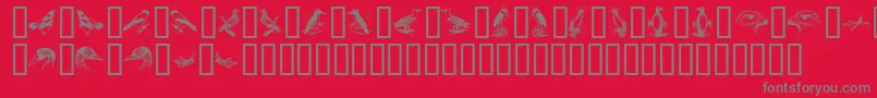 BirdsA Font – Gray Fonts on Red Background