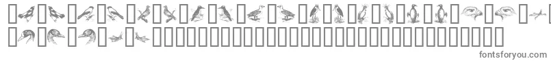 BirdsA Font – Gray Fonts on White Background