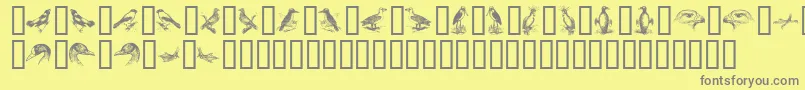 BirdsA Font – Gray Fonts on Yellow Background