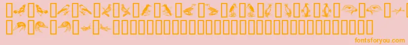 BirdsA Font – Orange Fonts on Pink Background