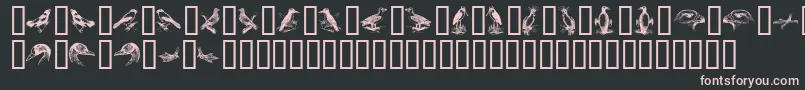 BirdsA-fontti – vaaleanpunaiset fontit mustalla taustalla