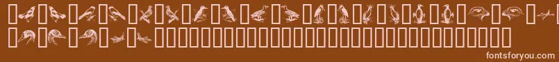 BirdsA-fontti – vaaleanpunaiset fontit ruskealla taustalla
