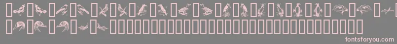 BirdsA Font – Pink Fonts on Gray Background