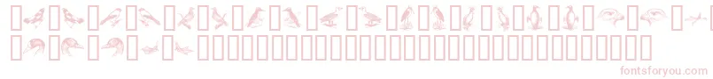 BirdsA Font – Pink Fonts on White Background