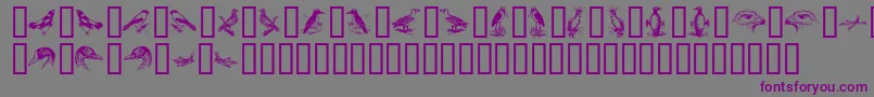 BirdsA Font – Purple Fonts on Gray Background