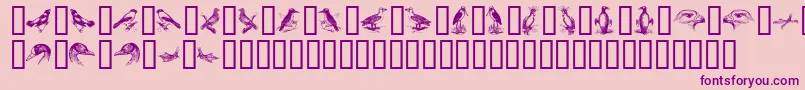 BirdsA Font – Purple Fonts on Pink Background