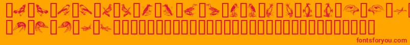 BirdsA Font – Red Fonts on Orange Background