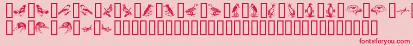 BirdsA Font – Red Fonts on Pink Background