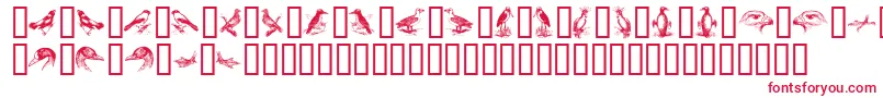 BirdsA Font – Red Fonts on White Background