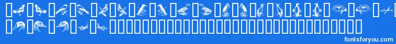 BirdsA Font – White Fonts on Blue Background