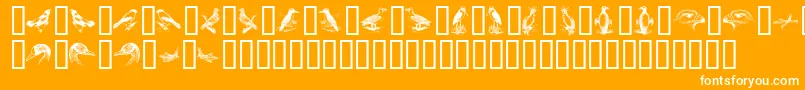 BirdsA Font – White Fonts on Orange Background