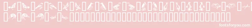 BirdsA-Schriftart – Weiße Schriften auf rosa Hintergrund