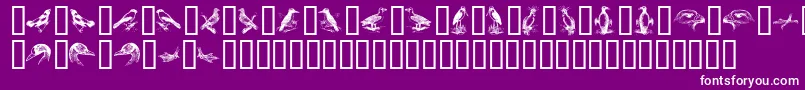 BirdsA Font – White Fonts on Purple Background