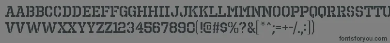 OctinprisonsbRegular Font – Black Fonts on Gray Background