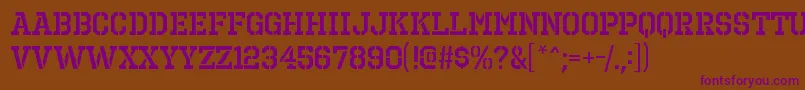 OctinprisonsbRegular Font – Purple Fonts on Brown Background