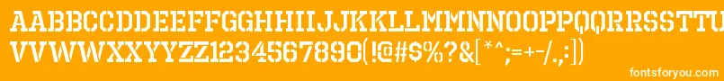 OctinprisonsbRegular Font – White Fonts on Orange Background