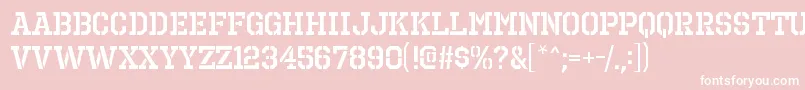 OctinprisonsbRegular Font – White Fonts on Pink Background