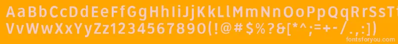 Roadgeek2005Series3b Font – Pink Fonts on Orange Background
