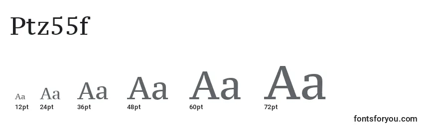 Ptz55f Font Sizes