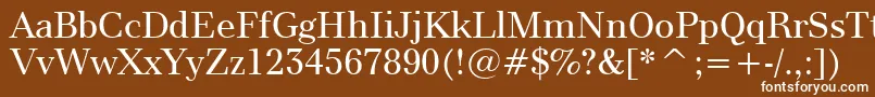Modern880Bt-Schriftart – Weiße Schriften auf braunem Hintergrund