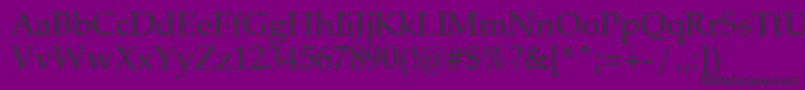 ZapfCalligraphic801Swa Font – Black Fonts on Purple Background