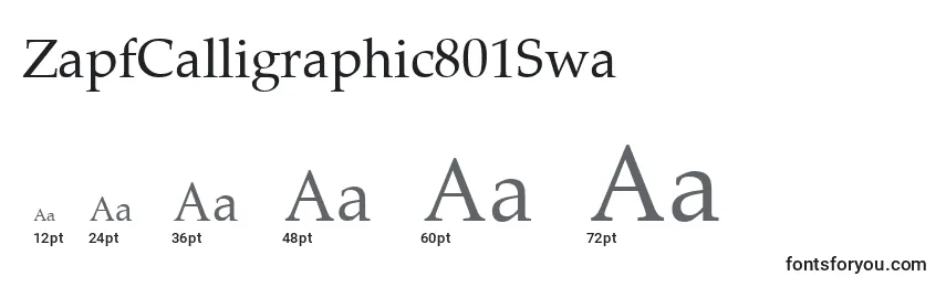 Größen der Schriftart ZapfCalligraphic801Swa