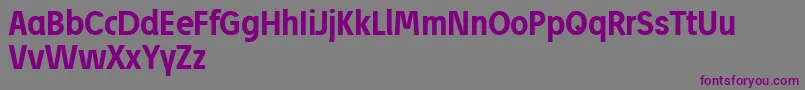 JosefReducedBold Font – Purple Fonts on Gray Background