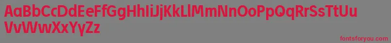 JosefReducedBold Font – Red Fonts on Gray Background