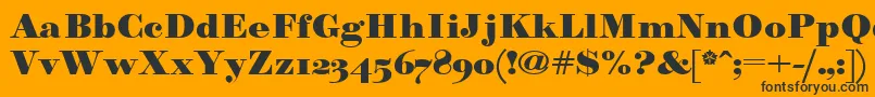 Paragonnordultraboldctt Font – Black Fonts on Orange Background